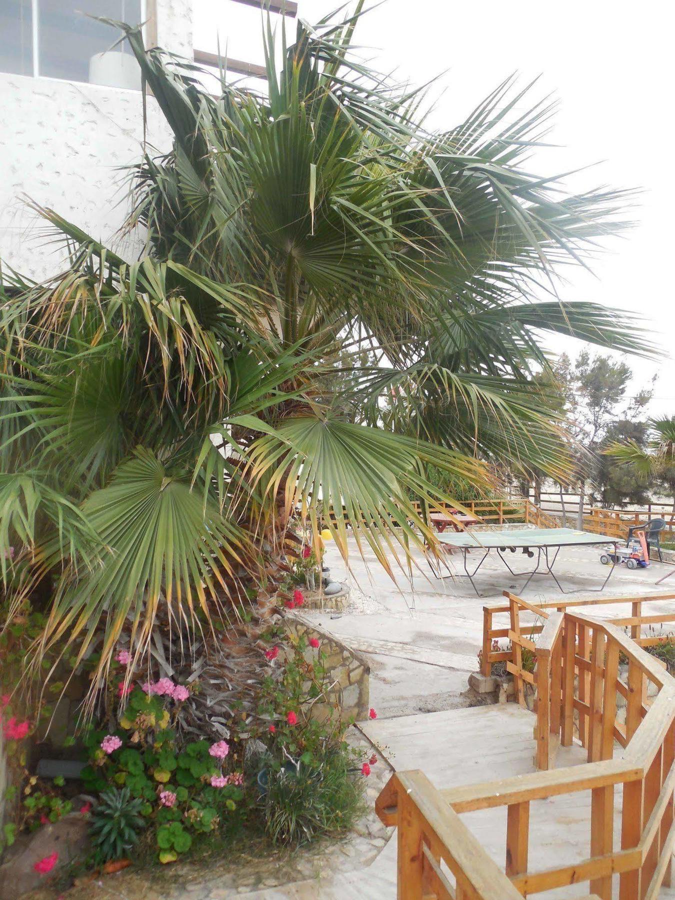 Hotel & Cabanas El Mirador Caldera Zewnętrze zdjęcie